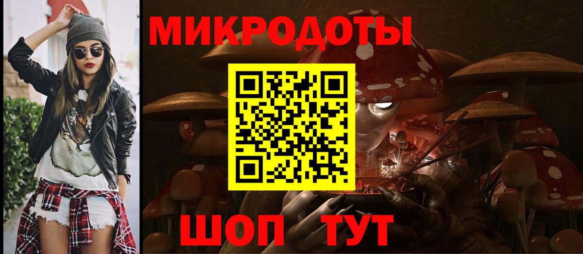 Псилоцибиновые грибы Psilocybe Магнитогорск