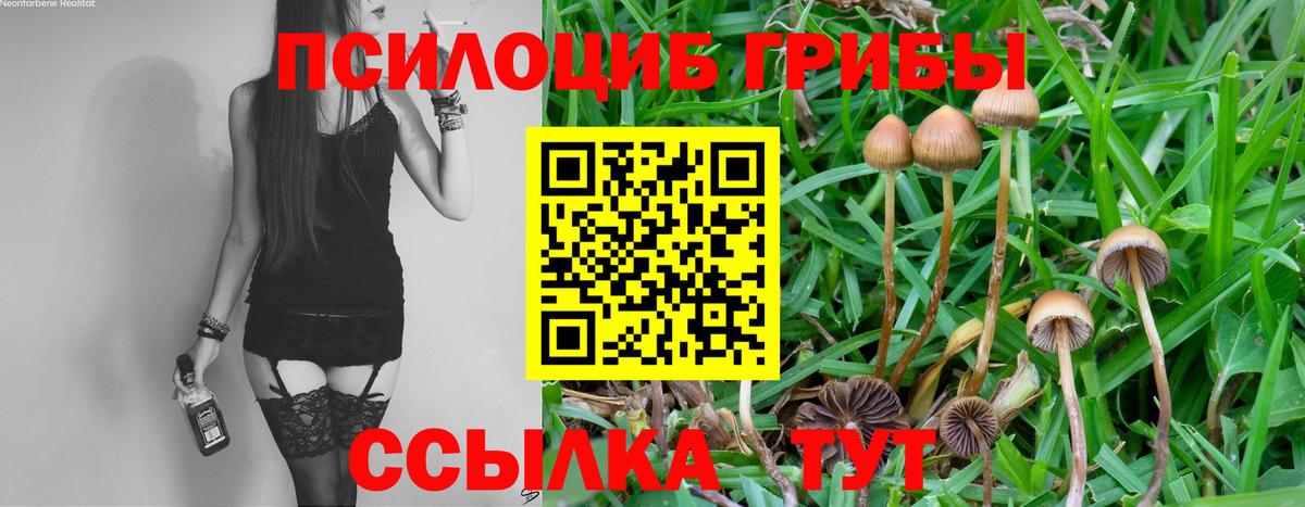 Галлюциногенные грибы мицелий  Псилоцибиновые грибы Psilocybe  Магнитогорск  Вход с VPN 